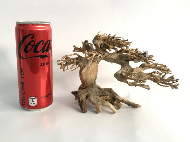 Bonsai driftwood moss tree for aquarium decor planted tank freshwater shrimp-S18