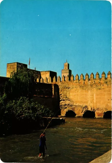 CPM AK Fez- Insouciant du passe qui le contemple MAROC (880381)