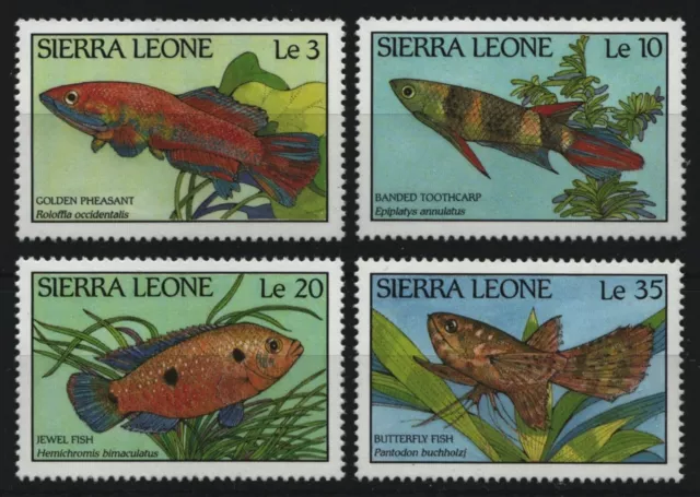Sierra Leone 1988 - Mi-Nr. 1081-1084 ** - MNH - Fische / Fish
