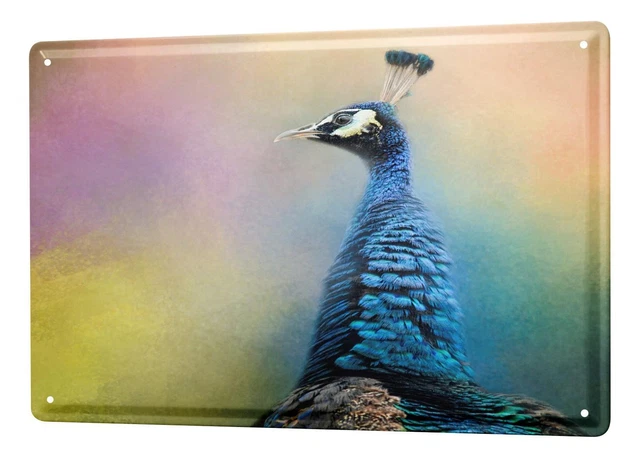 5 Targhe Metalliche Retrò Con Galline - Cartelli Decorativi 20x30 Cm Per Pollaio, Stile Country Vintage - Foto 6