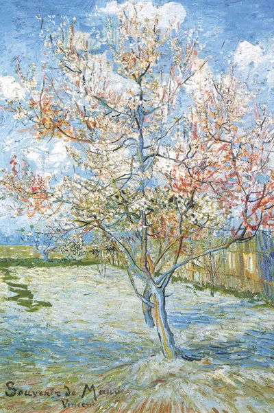 Vincent Van Gogh Flowering Peach Trees 24X36 Poster Art Painting Legend Icon New