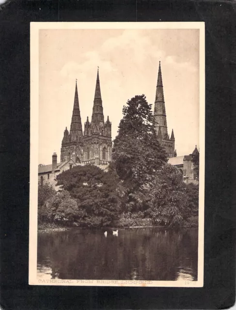 D3299 UK Lichfield Cathedral from Bridge vintage postcard