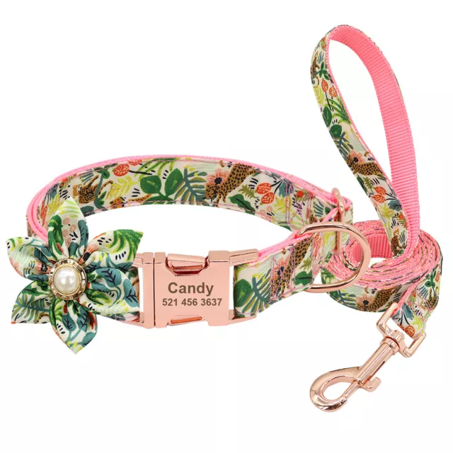 Personalisiert Hundehalsband mit Hundeleine Namen Gravur Nylonhalsband Rosa Blau