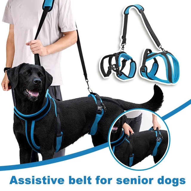 DOG LIFT HARNESS Support Recovery Sling Pet Rehabilitation Dog Carry