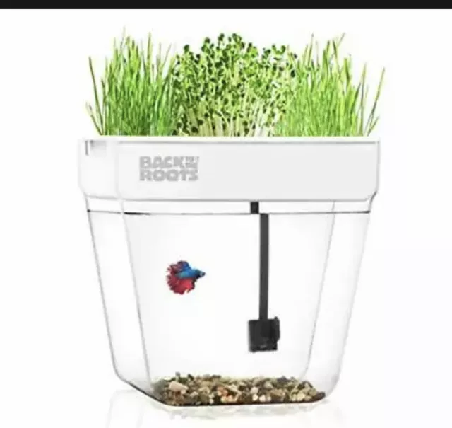 Back to the Roots BRWG002 3 Gallon Self-Cleaning Aquaponic Garden Fish Tank -...