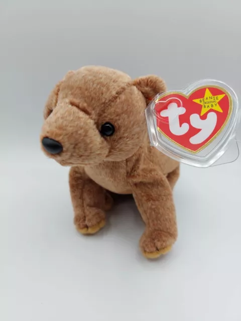 TY BEANIE BABIES Pecan The Bear New With Tags And Plastic