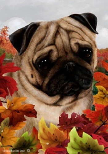 Fall Garden Flag (TB) - Fawn Pug 130221