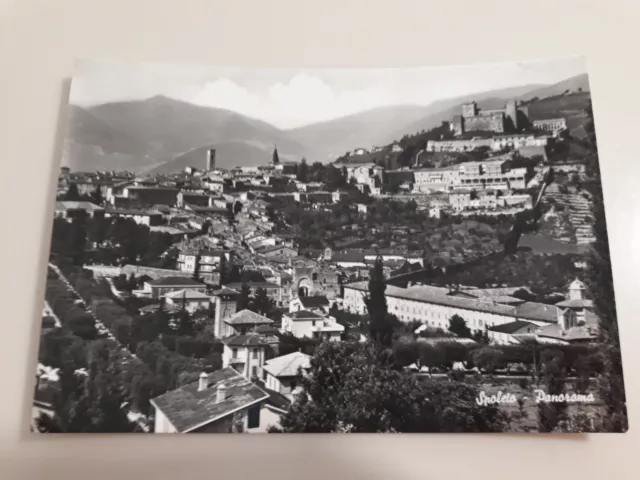 Cartolina b/n SPOLETO (Perugia) – Panorama fg Viaggiata (anni '60)