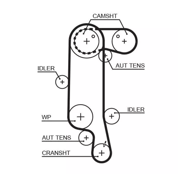 Courroie De Distribution Audi A2 1.4,Vw Golf Vi 1.4,Seat Ibiza Iii 1.4 16V