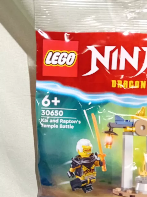 LEGO 30650 Ninjago Kai & Rapton's Temple Battle Polybag New Sealed BNIP 3