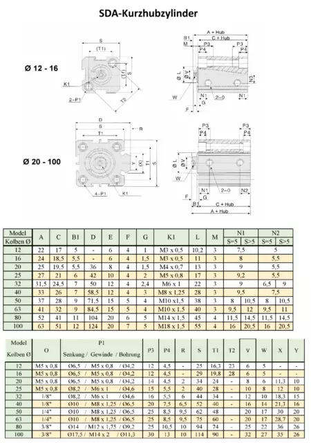 ETSDA25x100-MG Luftzylinder Pneumatikzylinder Zylinder Aircylinder  mit Magnet 2