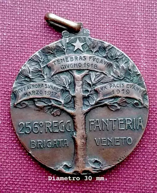 Medaglia 256° Reggimento Brigata Veneto Fanteria prima guerra mondiale