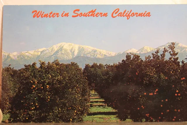 California CA Southern Snow Los Angeles Basin Postcard Old Vintage Card View PC