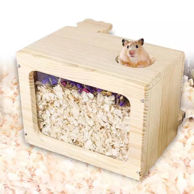 Hamster creuser boîte lit Hamster sable bain conteneur pour Rat Hamsters