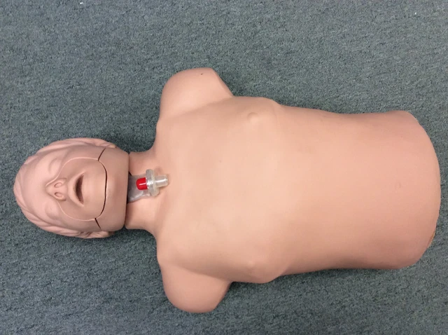 SIMULAIDS BRAD Adult Training CPR Manikin Torso Nursing EMT Trainer