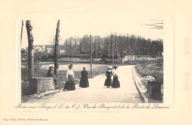 Cpa 91 Briis Sous Forges / View Of The Grove And Road Of Limours / Framadren