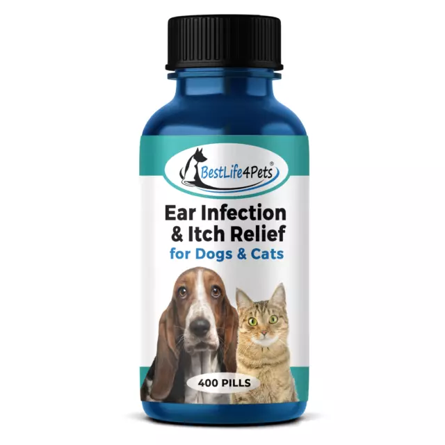 Ear Infection Relief for Dogs and Cats Ear Itch Pain Natural Inflammation Relief