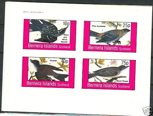 Uccelli - Birds  Bernera Islands 1982