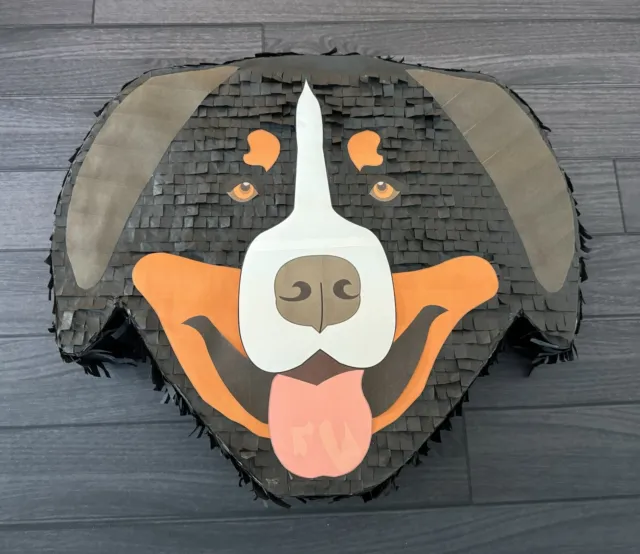 Rottweiler Bernese Mountain Dog | Hand Made 17” Piñata | Birthday Party Pinata