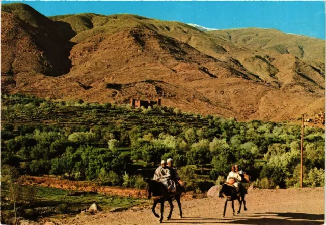 CPM AK dans le Sud Marocain MAROC (880930)
