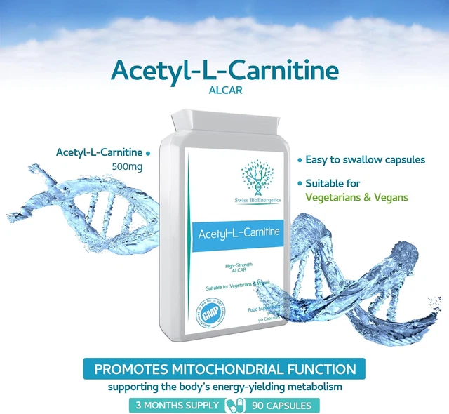 ACETYL-L-CARNITINE 500MG 90 Capsules - High-Strength ALCAR with No D ...