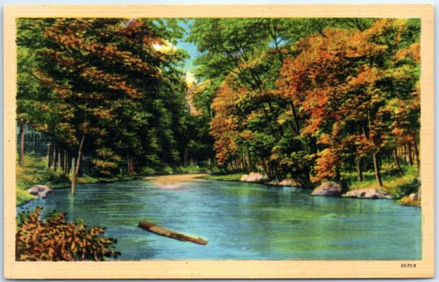 Postcard - Moose River, Adirondack Mountains - Old Forge, New York