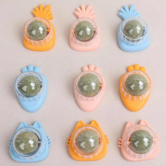 des dents Chat Jouets Boules de cataire Interactif Menthe Chat Rotatif