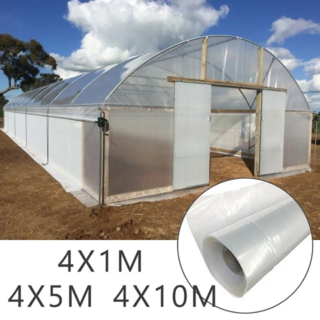 Vegetables Greenhouse Film Flowers Hot House Plant Plastic Transparent