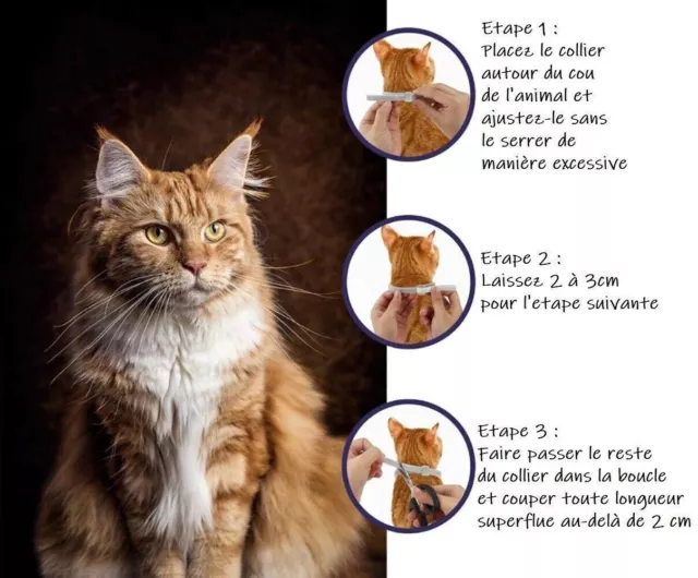 Chat - Seresto Collier anti-puces anti-tiques Parasitaires Original® Sans boite 2