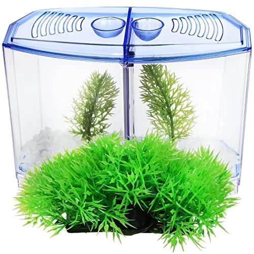 Betta Fish Tank Starter Kit with 2pcs Betta Fish Tank Accessories Aquarium Pl...