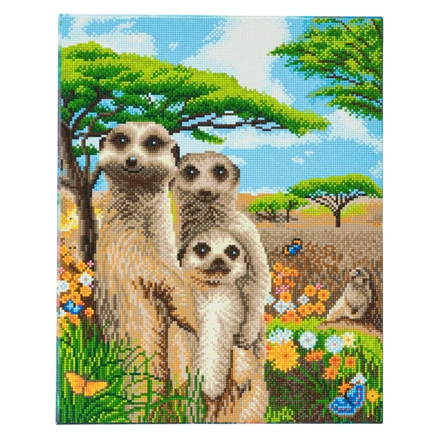 Craft Buddy Framed Diamond Painting Crystal Art Kit  "Meerkat Family" 40 X 50Cms