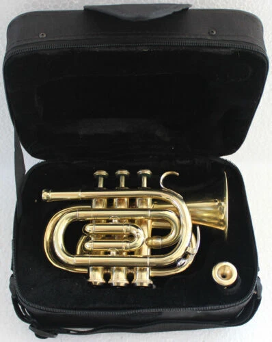 NEW BRASS FINISH Bb POCKET TRUMPET+FREE HARD CASE+MOUTHPIECE