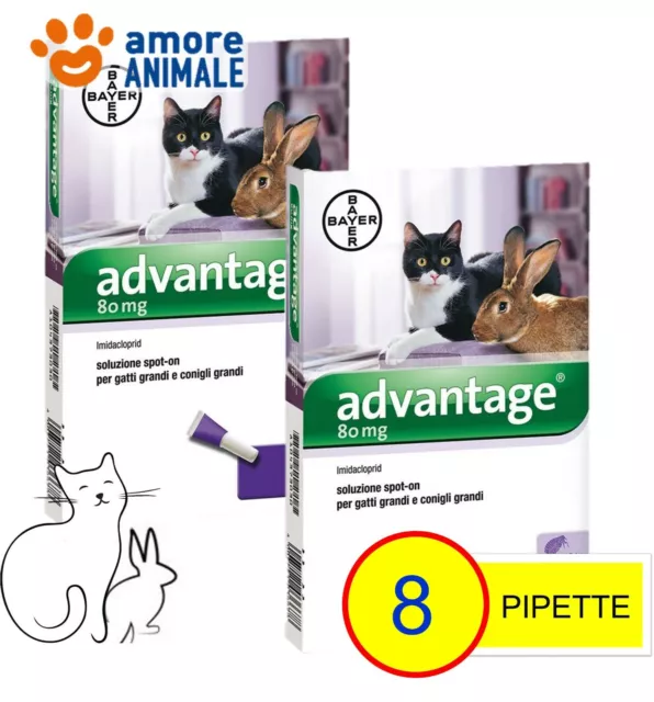 2 CONFEZIONI - Bayer Advantage 80 mg per GATTI e Conigli oltre 4 kg - 4 pipette