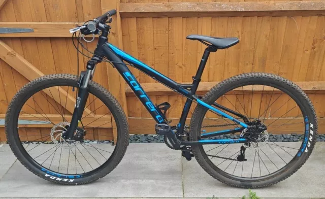 carrera sulcata blue