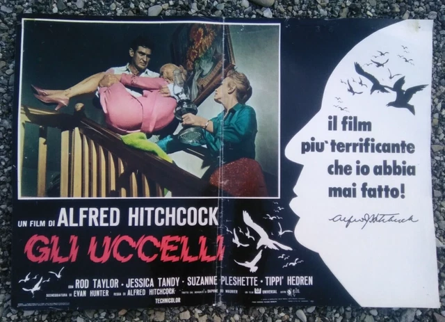 Grupo Erik Poster 'Gli Uccelli' Di Alfred Hitchcock, Formato 61x91,5 Cm, Carta Lucida 150g, Poster Da Parete Per Camera E Salotto
