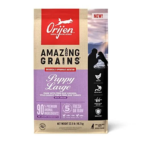ORIJEN® Dry Dog Food High Protein Amazing Grains Puppy Large Breed 22.5LB