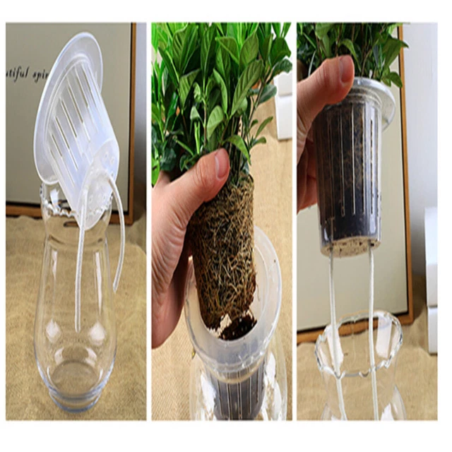 African Violet Rope Automatic Light Bulb Outdoor Hydroponic Plants Water Rope 10