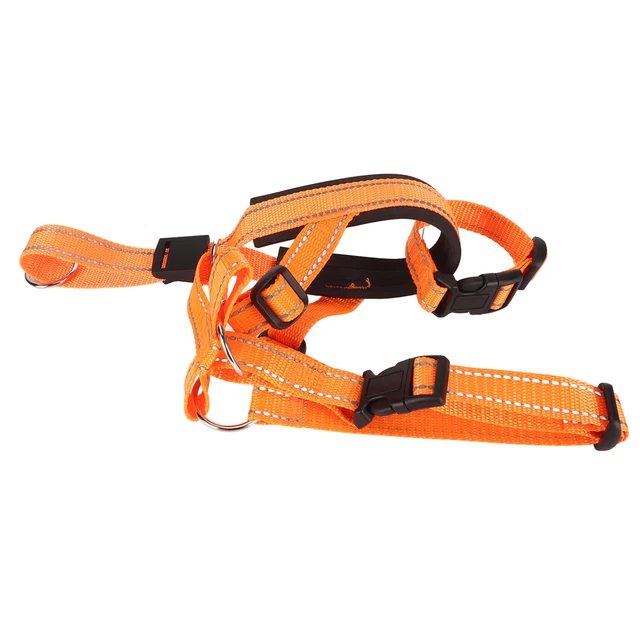 Supporto testa cane muso traspirante regolabile cane muso arancione per