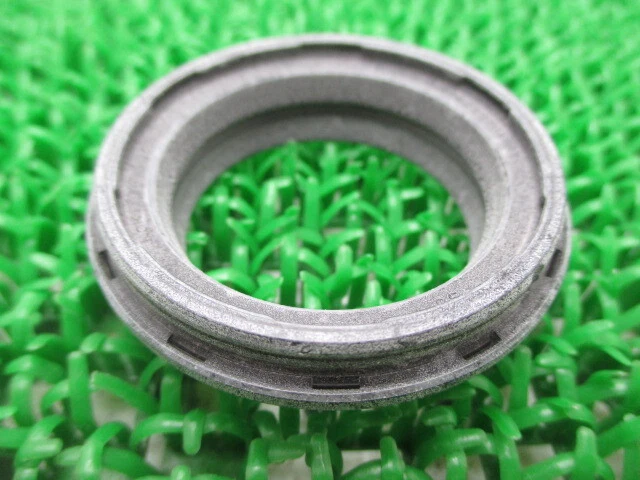 KAWASAKI-Genuine-New-250TR-