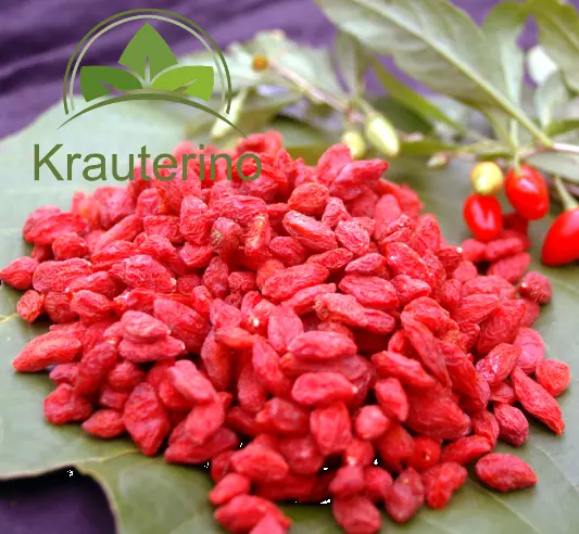 100 G Gojibeeren Totalement Baies de Goji Séché Loup non Traité