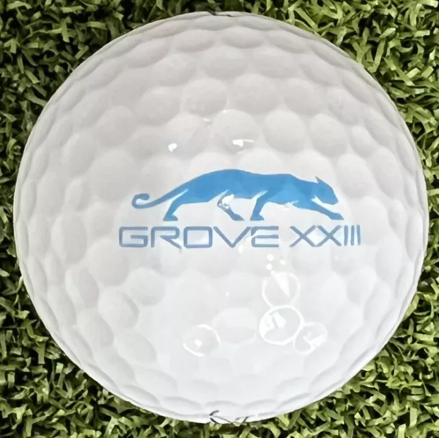 GROVE XXIII Titleist Pro V1X Ball #2 Scotty Cameron Grove xxiii Grove 23 Jordan