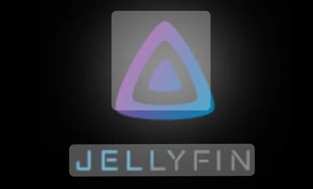 Jellyfin  12 months