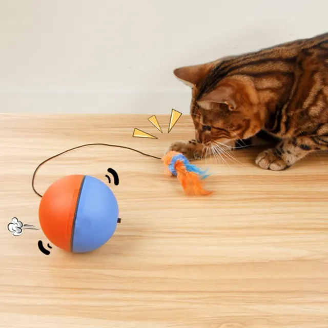 Giocattoli interattivi per gatti intelligenti con sfera per gatti con piume