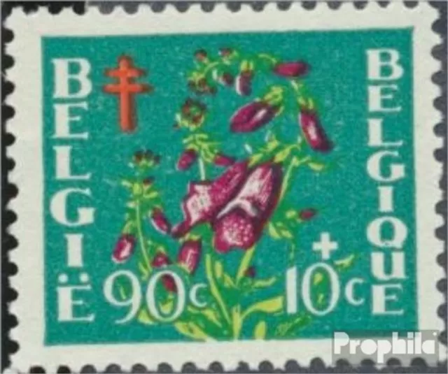 Belgique 878 neuf 1950 la tuberculose