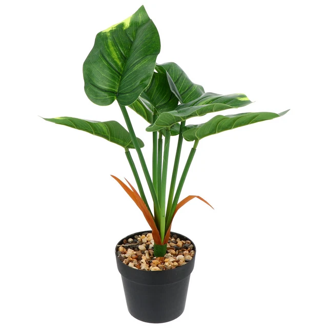 Etichette Per Piante In Plastica Bulk Hardware - Bianche, 15 Cm - Confezione Da 100 - Per Orto E Giardino - 4