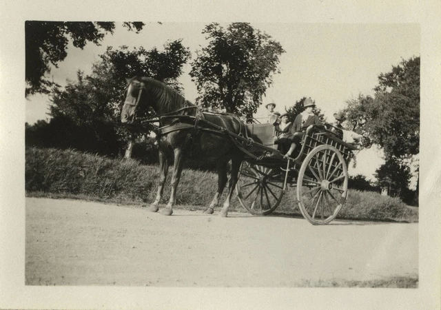 Photo Ancienne – Tirage Argentique – Cheval Et Calèche – Début XXe (1900-1939)