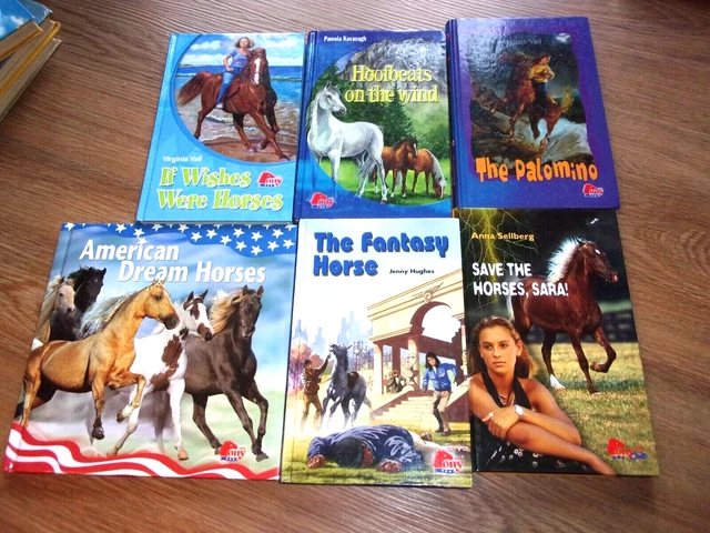American Dream Sara Palomino Wishes Hoofbeats Fantasy Pony Club Horse Book Lot