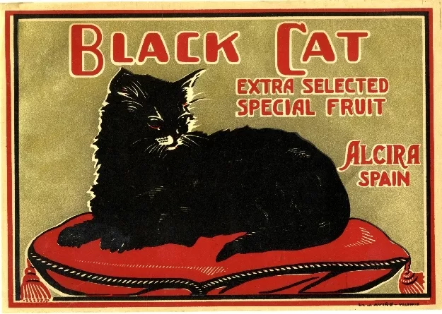 Alcira Spain Spanish Black Cat Orange Citrus Fruit Crate Label Print Halloween