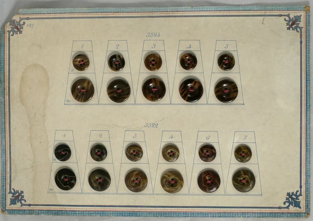 Carte 22 bouton ancien 1900 corozo antique button 2 taille costume homme