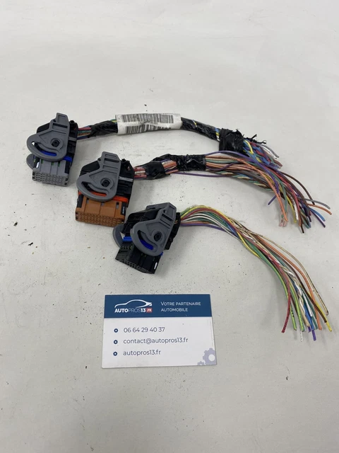 Lot De 2 Faisceaux De Câblage D'injecteurs - Compatible CITROËN/PEUGEOT 2.0 HDi/BlueHDi - Réf. 6585.57 / 9688246780
